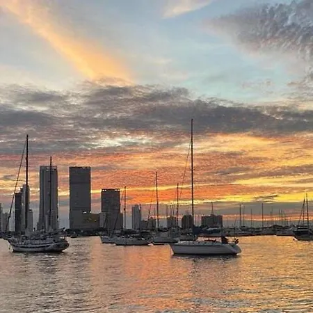 Catamaran In Bay *