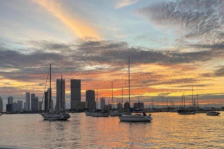 Catamaran In Bay *